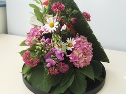 Illustration de la galerie