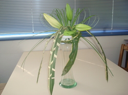 Illustration de la galerie