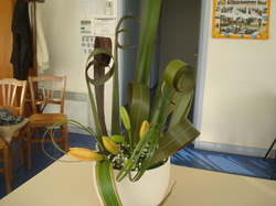 Illustration de la galerie