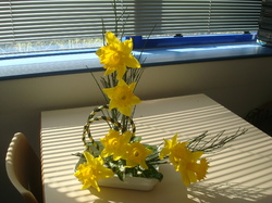 Illustration de la galerie