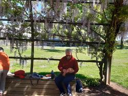 Illustration de la galerie