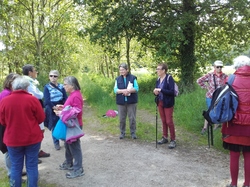 Illustration de la galerie