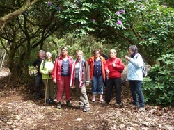 Illustration de la galerie