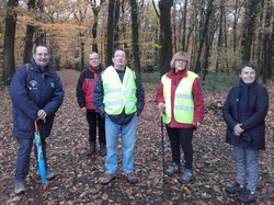 Illustration de la galerie