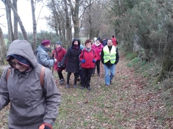 Illustration de la galerie