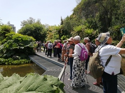 Illustration de la galerie