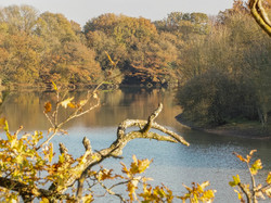 Illustration de la galerie