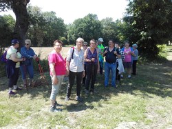 Illustration de la galerie