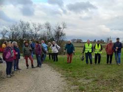 Illustration de la galerie