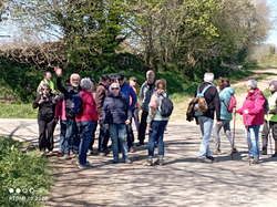 Illustration de la galerie