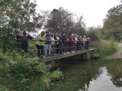 Illustration de la galerie