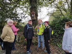 Illustration de la galerie