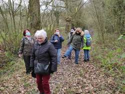 Illustration de la galerie