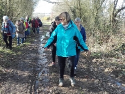 Illustration de la galerie