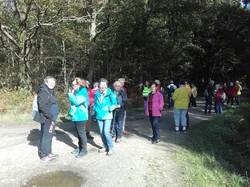 Illustration de la galerie