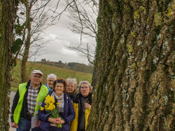 Illustration de la galerie